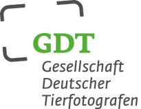 gdt_logo_de