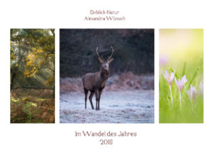Fotokalender Naturfotografie Alexandra Wünsch Einblick Natur Deutschland Im wandel des Jahres Jahreszeiten Alexandra Wünsch