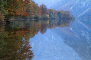 Alex Wünsch Naturfotografie Slowenien Herbst See