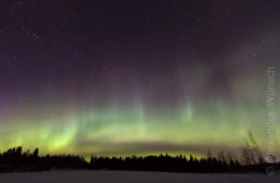Alex Wünsch Naturfotografie Finnland Winter Schnee Polarlicht Nordkarelien