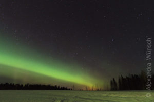 Alex Wünsch Naturfotografie Finnland Winter Schnee Polarlicht Nordkarelien