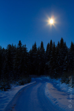 Alex Wünsch Naturfotografie Finnland Winter Schnee Vollmond