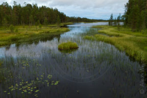 Alex Wünsch Naturfotografie Nordkarelien Finnland See