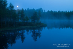 Alex Wünsch Naturfotografie See Vollmond Finnland