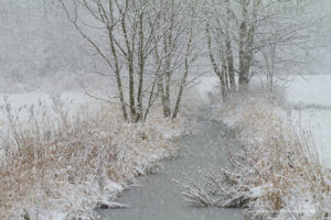 Winter Einblick Natur Naturfotografie
