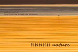 Nature photography Alex Wünsch Alexandra Einblick Natur calendar finland