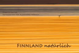 Fotokalender Finnland Naturfotografie Alexandra Wünsch Einblick Natur