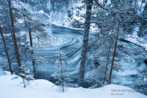 Alexandra Wünsch Alex Einblick Natur Naturfotografie GDT Finnland Winter Strudel Wasser Fluß