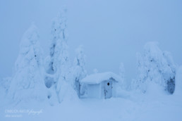 Alex Wünsch Alexandra Wünsch Einblick-Natur Fotografie Naturfotografie Winter Finnland Kuusamo Toilette WC Schnee