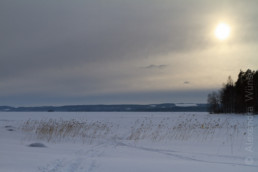 Alex Wünsch Naturfotografie Finnland Winter Schnee