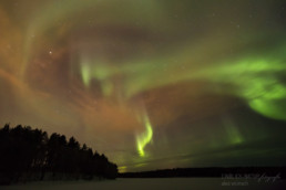 Alex Wünsch Alexandra Wünsch Einblick-Natur Fotografie Naturfotografie Winter Finnland Polarlichter Nordlicht aurora borealis Feuerfuchs