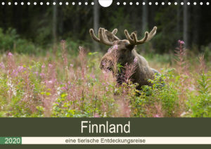 Alex Wünsch Alexandra Wünsch Einblick-Natur Fotografie Naturfotografie Kalender Naturfoto Finnland Tiere