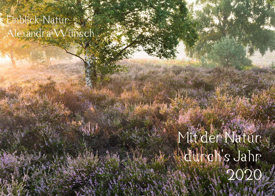 Einblick Natur Naturfotografie Kalender 2020 Alexandra Wünsch Naturfotos Deutschland